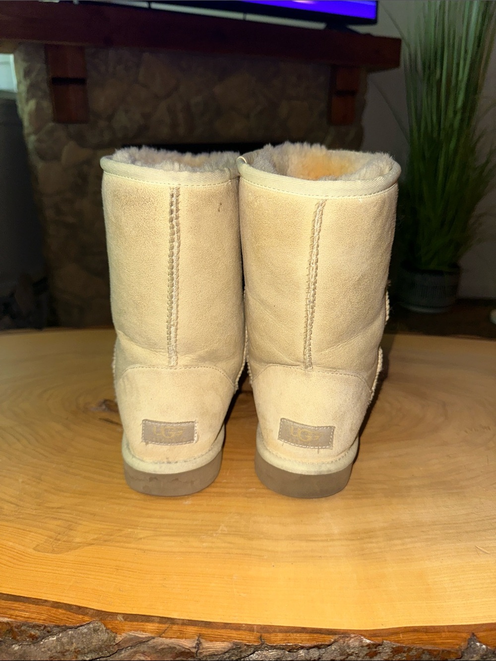 🤍🤍🤍 UGG Classic Short Shearling Suede Boots - Cream